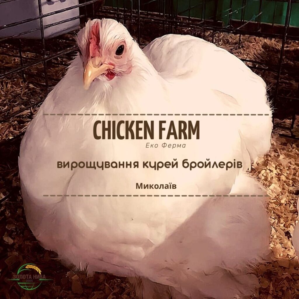 Еко Ферма CHICKEN FARM